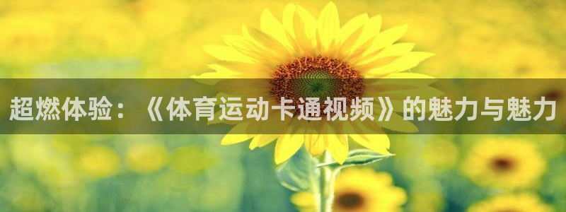 超燃体验：《体育运动卡通视频》的魅力与魅力
