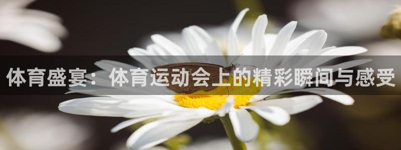 体育盛宴：体育运动会上的精彩瞬间与感受
