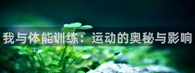 我与体能训练：运动的奥秘与影响